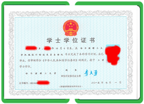 证件制作图标 - 毕业证定制与房本制作