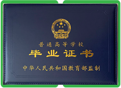 证件制作图标 - 身份证制作与营业执照定制